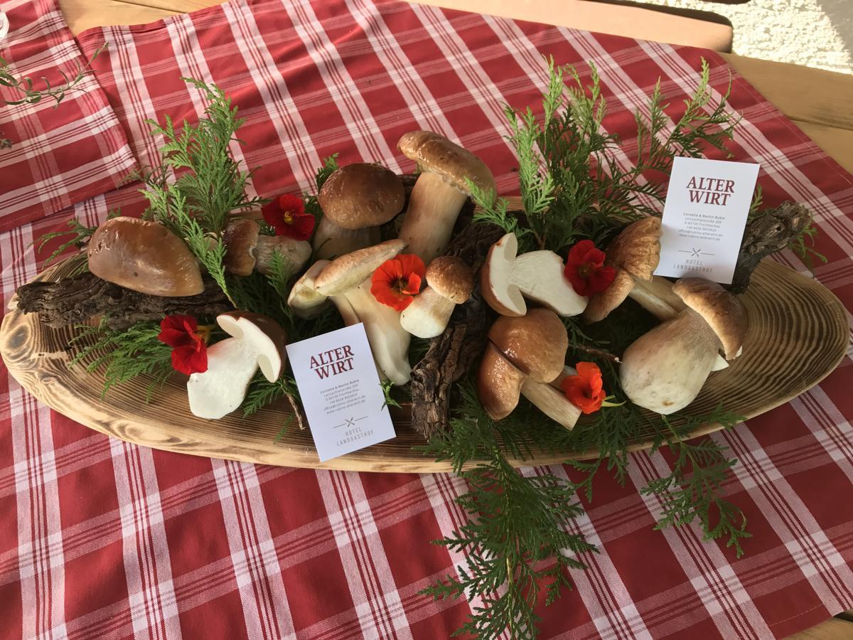 Hotel Landgasthof Alter Wirt 菲施巴豪 外观 照片